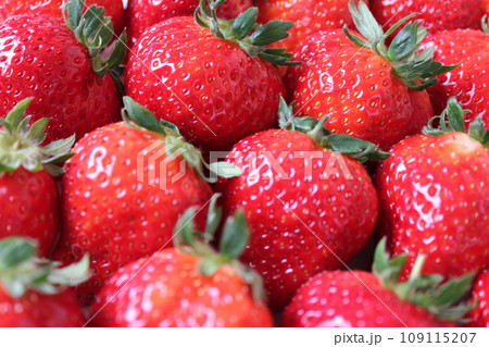 ▼▼いちご▼いちご▼苺▼▼ ~¨* Strawberry *¨~ ▼▼いちご▼いちご▼苺▼▼ ~¨* Strawberry *¨~ 109115207