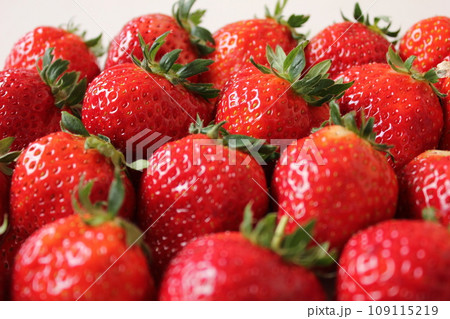▼▼いちご▼いちご▼苺▼▼　　　～¨* Strawberry *¨～ 109115219