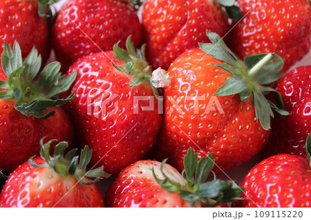 ▼▼いちご▼いちご▼苺▼▼　　　～¨* Strawberry *¨～ 109115220