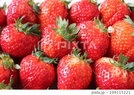 ▼▼いちご▼いちご▼苺▼▼ ~¨* Strawberry *¨~ ▼▼いちご▼いちご▼苺▼▼ ~¨* Strawberry *¨~ 109115221