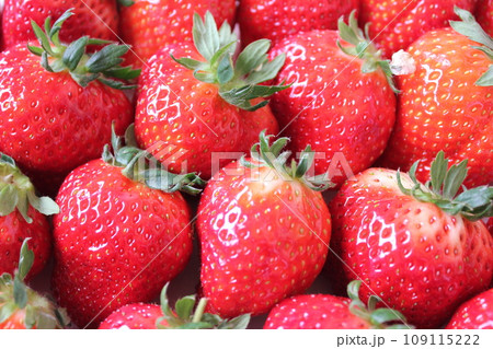 ▼▼いちご▼いちご▼苺▼▼ ~¨* Strawberry *¨~ ▼▼いちご▼いちご▼苺▼▼ ~¨* Strawberry *¨~ 109115222