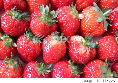 ▼▼いちご▼いちご▼苺▼▼ ~¨* Strawberry *¨~ ▼▼いちご▼いちご▼苺▼▼ ~¨* Strawberry *¨~ 109115223