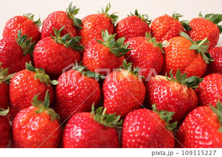 ▼▼いちご▼いちご▼苺▼▼ ~¨* Strawberry *¨~ ▼▼いちご▼いちご▼苺▼▼ ~¨* Strawberry *¨~ 109115227