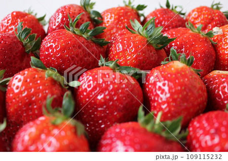 ▼▼いちご▼いちご▼苺▼▼ ~¨* Strawberry *¨~ ▼▼いちご▼いちご▼苺▼▼ ~¨* Strawberry *¨~ 109115232