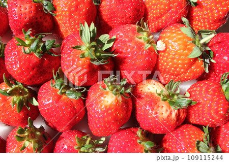 ▼▼いちご▼いちご▼苺▼▼ ~¨* Strawberry *¨~ ▼▼いちご▼いちご▼苺▼▼ ~¨* Strawberry *¨~ 109115244