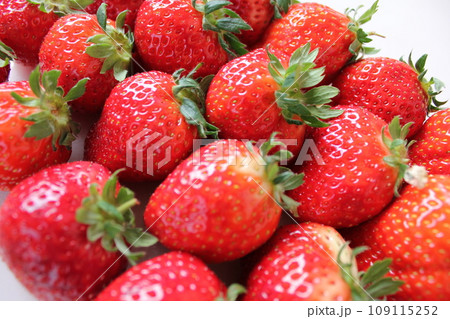 ▼▼いちご▼いちご▼苺▼▼ ~¨* Strawberry *¨~ ▼▼いちご▼いちご▼苺▼▼ ~¨* Strawberry *¨~ 109115252