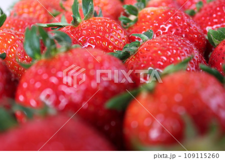 ▼▼いちご▼いちご▼苺▼▼ ~¨* Strawberry *¨~ ▼▼いちご▼いちご▼苺▼▼ ~¨* Strawberry *¨~ 109115260