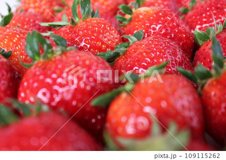 ▼▼いちご▼いちご▼苺▼▼　　　～¨* Strawberry *¨～ 109115262