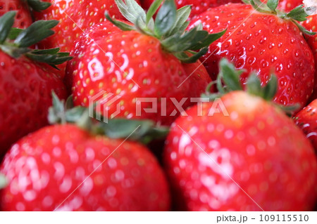 ▼▼いちご▼いちご▼苺▼▼　　　～¨* Strawberry *¨～ 109115510