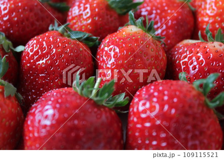 ▼▼いちご▼いちご▼苺▼▼ ~¨* Strawberry *¨~ ▼▼いちご▼いちご▼苺▼▼ ~¨* Strawberry *¨~ 109115521