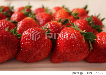 ▼▼いちご▼いちご▼苺▼▼　　　～¨* Strawberry *¨～ 109115527