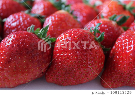 ▼▼いちご▼いちご▼苺▼▼ ~¨* Strawberry *¨~ ▼▼いちご▼いちご▼苺▼▼ ~¨* Strawberry *¨~ 109115529