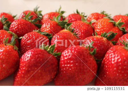 ▼▼いちご▼いちご▼苺▼▼ ~¨* Strawberry *¨~ ▼▼いちご▼いちご▼苺▼▼ ~¨* Strawberry *¨~ 109115531
