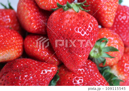▼▼いちご▼いちご▼苺▼▼ ~¨* Strawberry *¨~ ▼▼いちご▼いちご▼苺▼▼ ~¨* Strawberry *¨~ 109115545