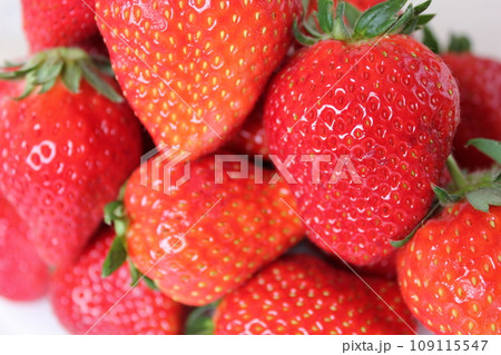 ▼▼いちご▼いちご▼苺▼▼　　　～¨* Strawberry *¨～ 109115547