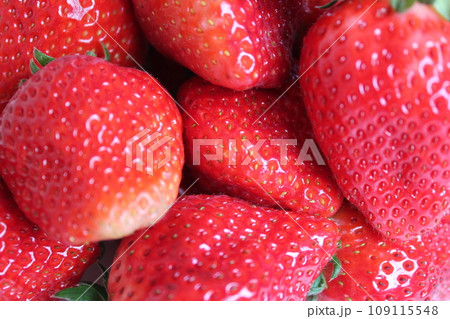 ▼▼いちご▼いちご▼苺▼▼ ~¨* Strawberry *¨~ ▼▼いちご▼いちご▼苺▼▼ ~¨* Strawberry *¨~ 109115548