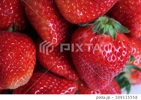 ▼▼いちご▼いちご▼苺▼▼　　　～¨* Strawberry *¨～ 109115558