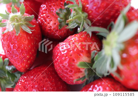 ▼▼いちご▼いちご▼苺▼▼ ~¨* Strawberry *¨~ ▼▼いちご▼いちご▼苺▼▼ ~¨* Strawberry *¨~ 109115585