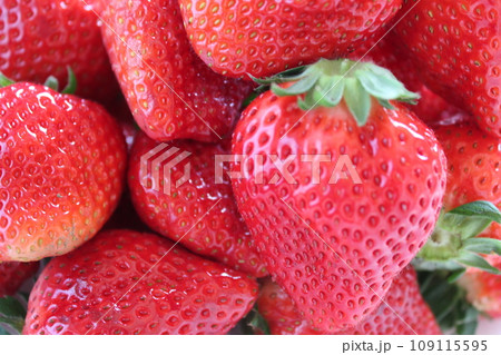 ▼▼いちご▼いちご▼苺▼▼ ~¨* Strawberry *¨~ ▼▼いちご▼いちご▼苺▼▼ ~¨* Strawberry *¨~ 109115595