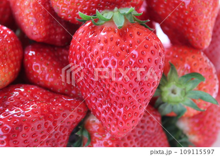 ▼▼いちご▼いちご▼苺▼▼ ~¨* Strawberry *¨~ ▼▼いちご▼いちご▼苺▼▼ ~¨* Strawberry *¨~ 109115597