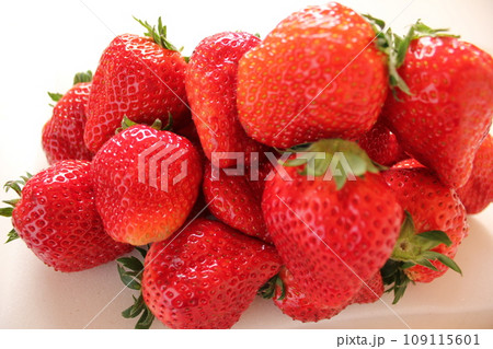 ▼▼いちご▼いちご▼苺▼▼ ~¨* Strawberry *¨~ ▼▼いちご▼いちご▼苺▼▼ ~¨* Strawberry *¨~ 109115601