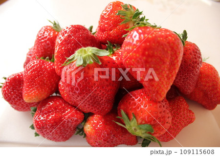 ▼▼いちご▼いちご▼苺▼▼ ~¨* Strawberry *¨~ ▼▼いちご▼いちご▼苺▼▼ ~¨* Strawberry *¨~ 109115608