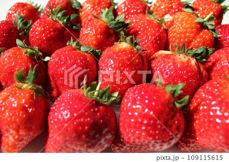 ▼▼いちご▼いちご▼苺▼▼　　　～¨* Strawberry *¨～ 109115615
