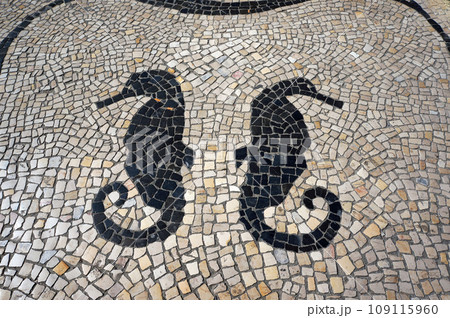 Seahorse (Hippocampus) Pattern in Traditional Mosaic Paving Tiles in Aveiro, Portugal. Seahorse (Hippocampus) Pattern in Traditional Mosaic Paving Tiles in Aveiro, Portugal. 109115960