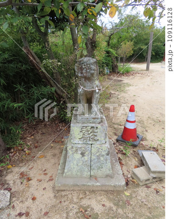 四国高松市鬼無町にある熊野権現桃太郎神社の狛犬 109116128