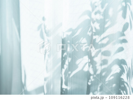 Image photo Image photo 109116228