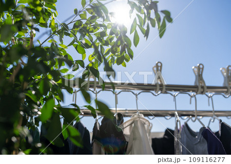 Image photo 109116277