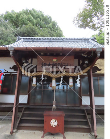 香川県高松市鬼無町にある熊野権現桃太郎神社の本殿の正面全体図 香川県高松市鬼無町にある熊野権現桃太郎神社の本殿の正面全体図 109116539
