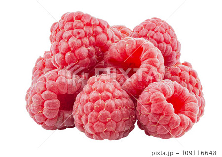 Bunch of raspberry fruits isolated in white background. Isolated berries. Healthy food. Bunch of raspberry fruits isolated in white background. Isolated berries. Healthy food. 109116648