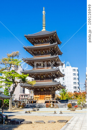 宮城県仙台市宮城野区の孝勝寺 五重塔 宮城県仙台市宮城野区の孝勝寺 五重塔 109116949