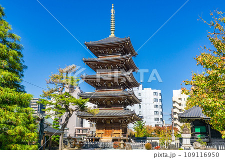 宮城県仙台市宮城野区の孝勝寺 五重塔 宮城県仙台市宮城野区の孝勝寺 五重塔 109116950