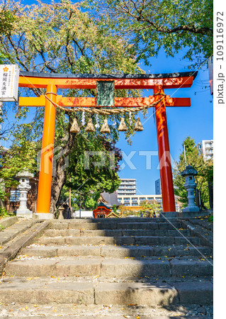 宮城県仙台市宮城野区の榴岡天満宮　鳥居 109116972