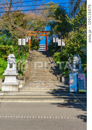 宮城県仙台市宮城野区の榴岡天満宮 鳥居 宮城県仙台市宮城野区の榴岡天満宮 鳥居 109116976