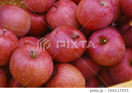 りんご 109117055