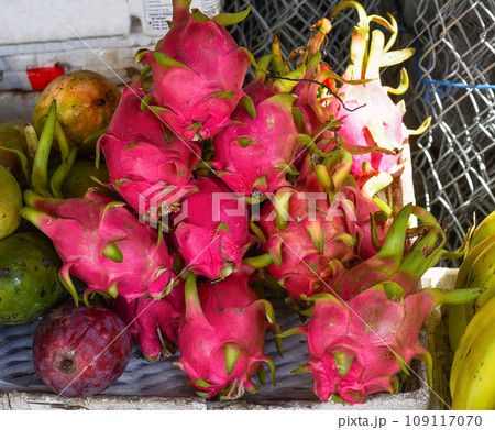 Many Pitaya or dragon fruit in the Vinh Hai market of Nha Trang Vietnam 109117070