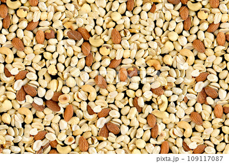 Pile of mixed nuts of almond, hazelnut, peanut and cashew Pile of mixed nuts of almond, hazelnut, peanut and cashew 109117087