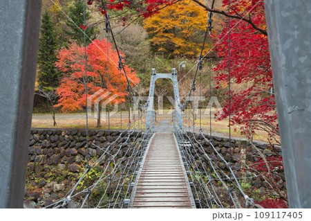 田舎の山間部にある秋のつり橋と紅葉 109117405