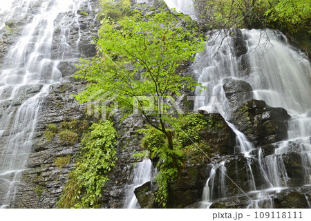 【福井県池田町】龍双ヶ滝（日本の滝百選） 109118111