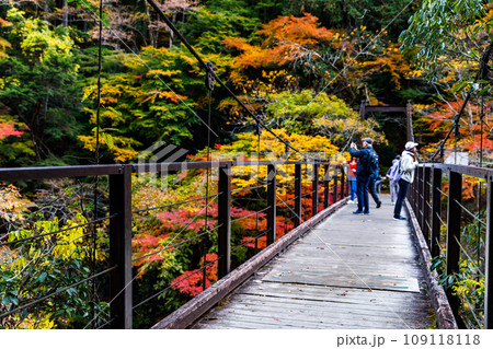 東京都奥多摩町　鳩ノ巣渓谷の紅葉 109118118