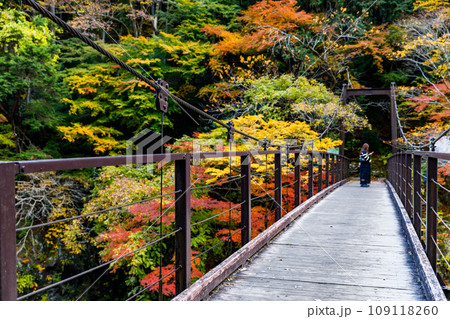 東京都奥多摩町　鳩ノ巣渓谷の紅葉 109118260