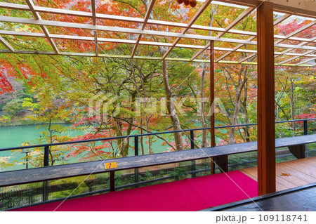 秋の京都嵐山　嵐山祐斎亭　絶景テラスからの紅葉 109118741