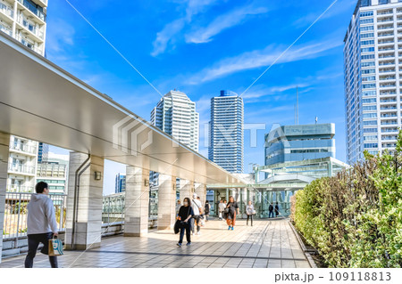 横浜の都市風景 スカイウェイ 横浜の都市風景 スカイウェイ 109118813