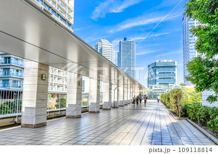 横浜の都市風景 スカイウェイ 横浜の都市風景 スカイウェイ 109118814