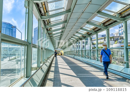 横浜の都市風景　スカイウェイ 109118815