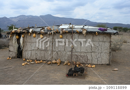 Typical Maasai tribe clay house in Kenya, Africa Typical Maasai tribe clay house in Kenya, Africa 109118899