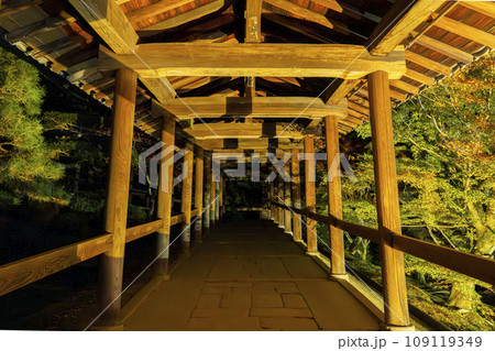 秋の京都東山　東福寺　紅葉ライトアップ 109119349